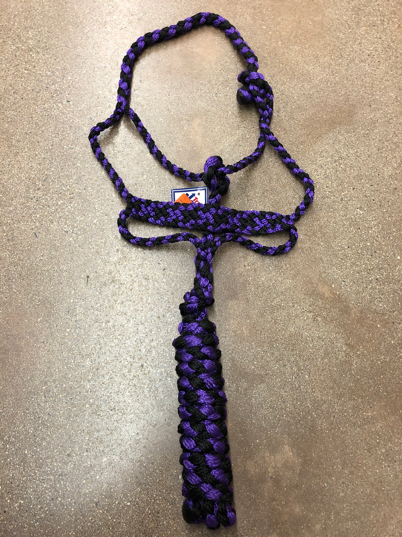 TKMT3326--Blk/Ppl Halter Rope -  Mule Tape w/Lead