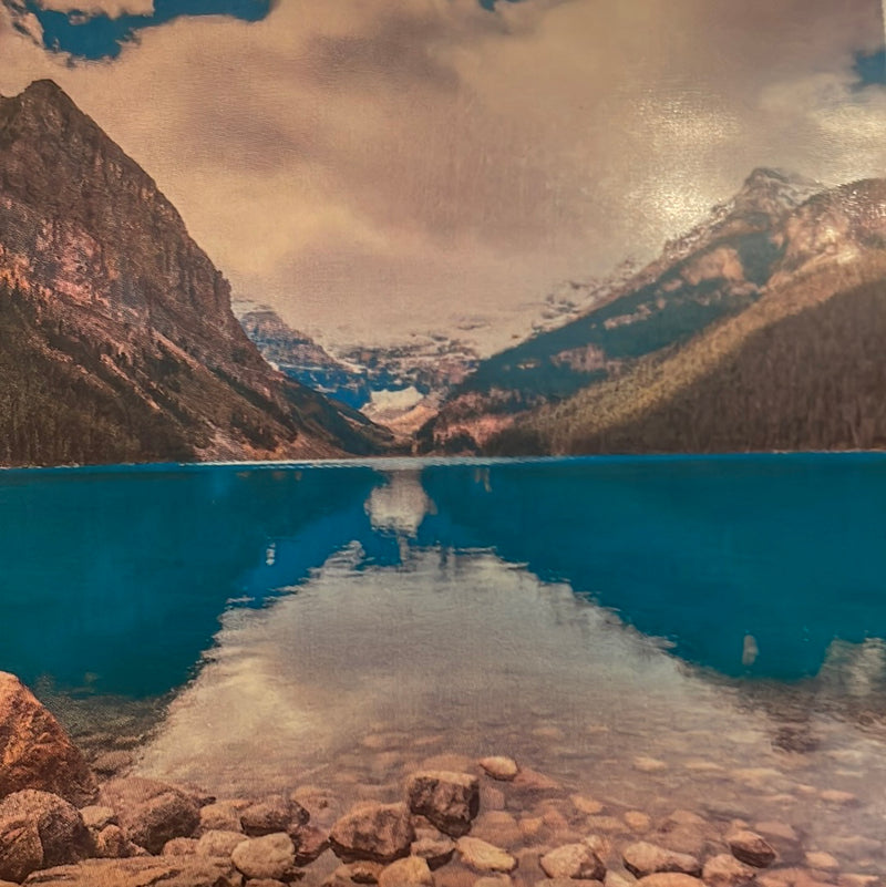 CLRL2-36"-1410 Ranch-Life Wild Rags 100% Silk