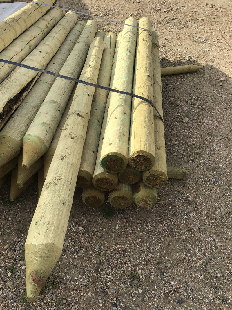 FE610 Posts 6"x 10' Treated