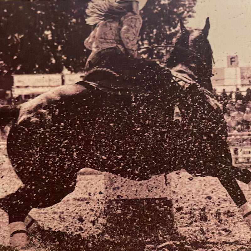 CLRL-36"-0421 Ranch-Life Wild Rags 100% Silk