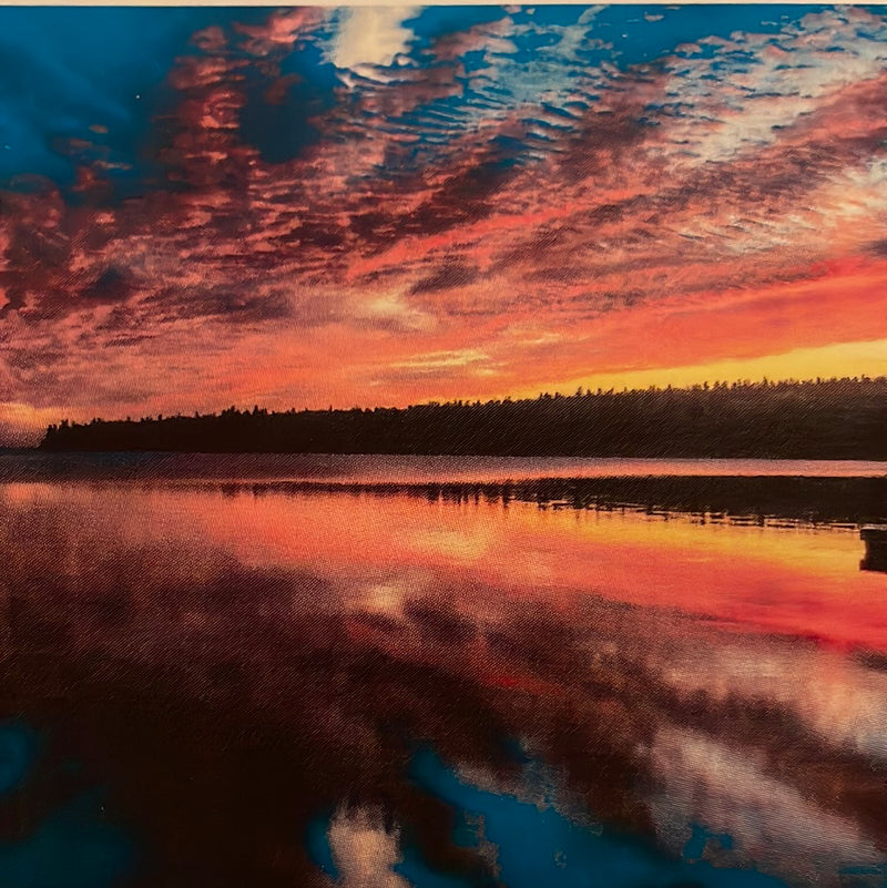 CLRL-36"-1414 Ranch-Life Wild Rags 100% Silk