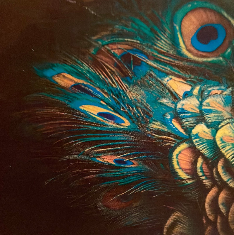 CLRL2-36"-1113 Ranch-Life Wild Rags 100% Silk