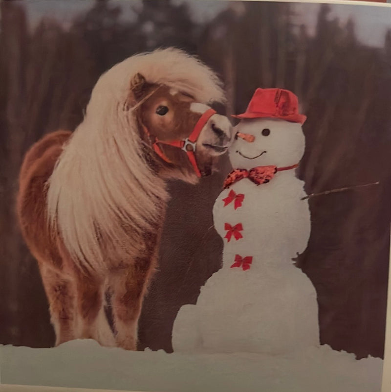 CLRL-36"-1301 Ranch-Life Wild Rags 100% Silk