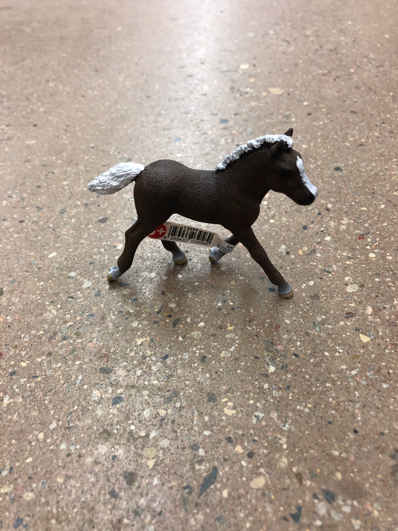BGSCHRED--Colt BkF Toy-Schleich Animal M Red