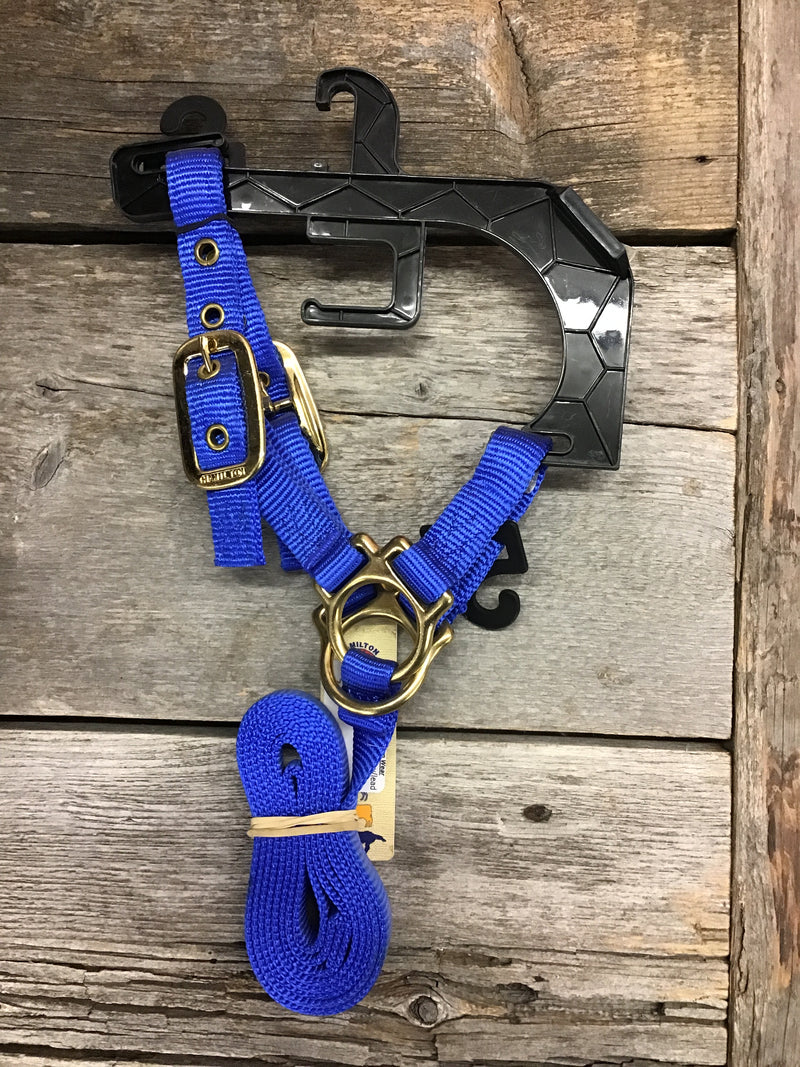 AC542 Halter Sheep Show Nylon w/lead