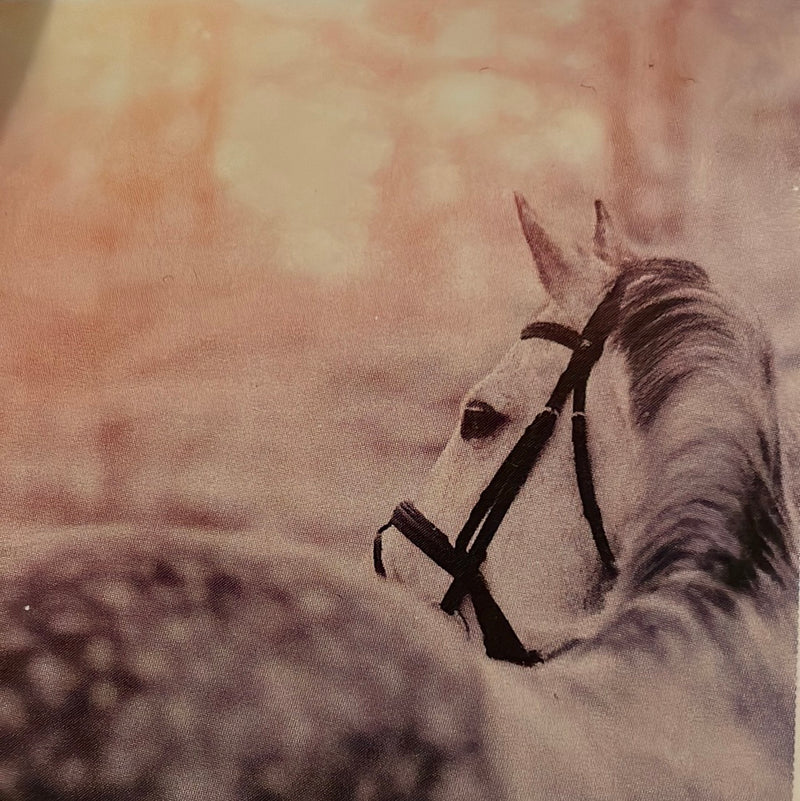 CLRL2-36"-0219 Ranch-Life Wild Rags 100% Silk