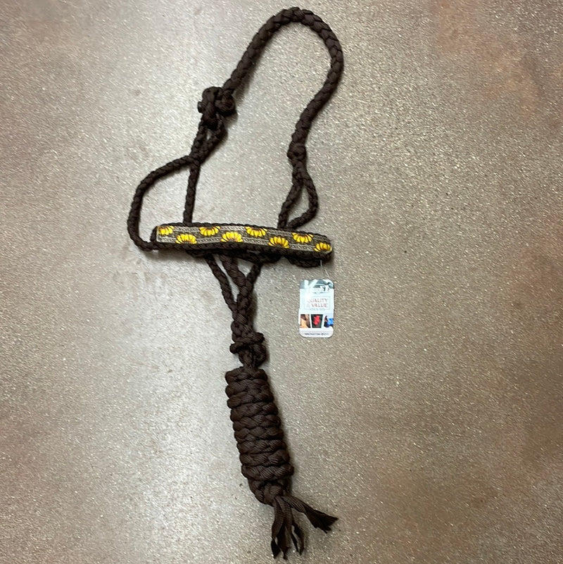 TK50-9621--Sunflowr Printed Mule Tape Halter w/ Lead