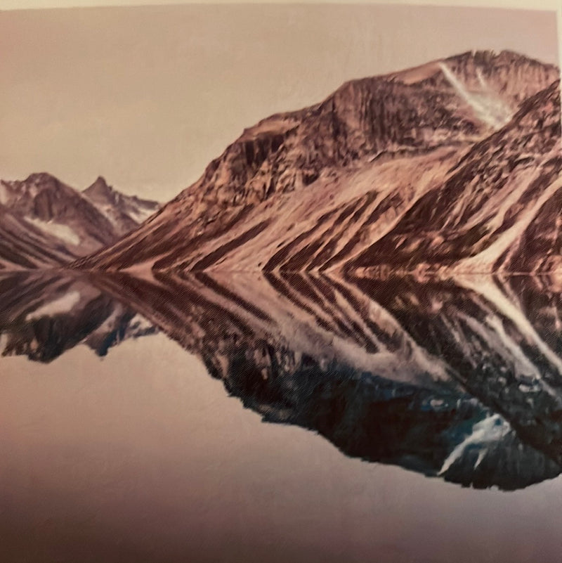 CLRL-36"-1403 Ranch-Life Wild Rags 100% Silk