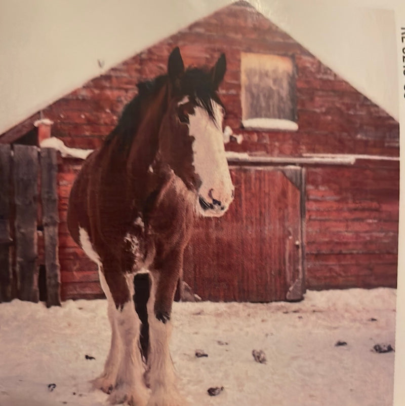 CLRL2-36"-0218 Ranch-Life Wild Rags 100% Silk