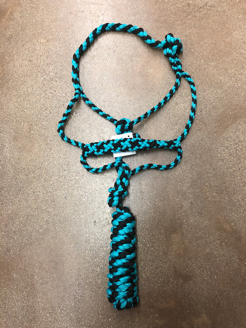 TKMT3326--Blk/Teal Halter Rope -  Mule Tape w/Lead