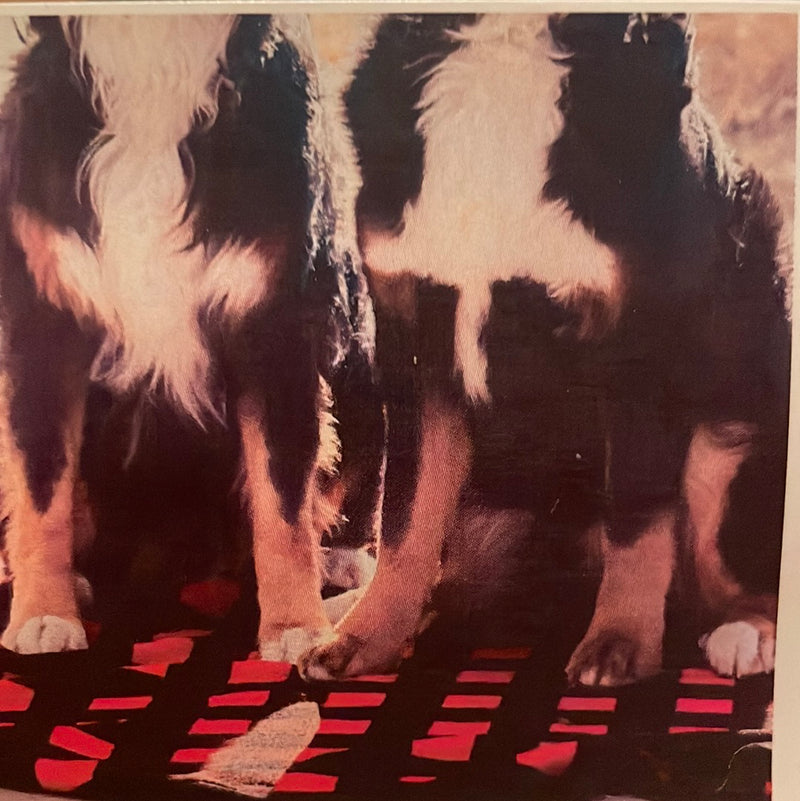 CLRL-36"-1010 Ranch-Life Wild Rags 100% Silk