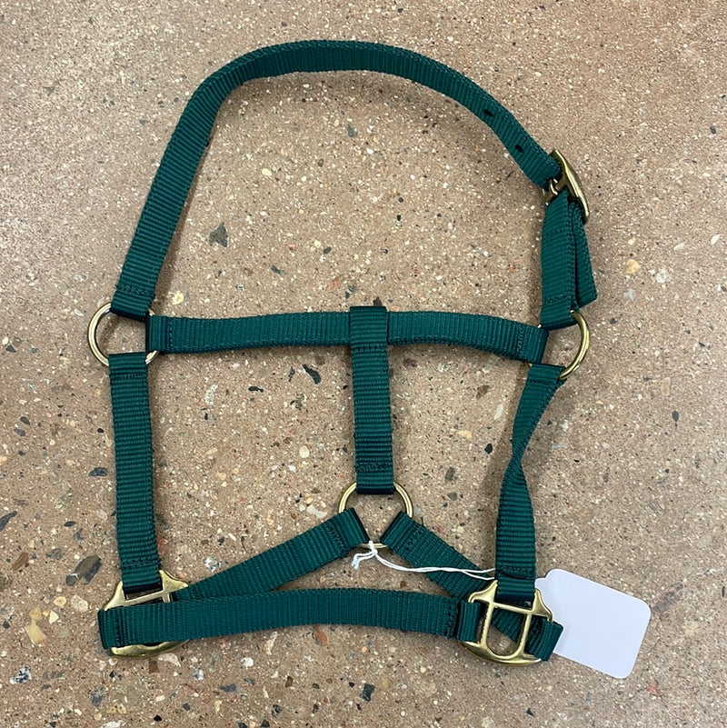 TKNH3209 Halter Nylon Economy Hardware - Mini