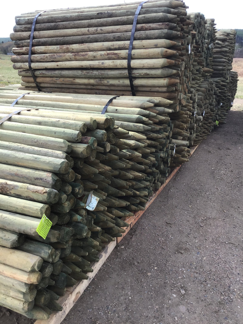 FE236 Spray Lake Posts 2-3"x 6' Treated 180/bundle