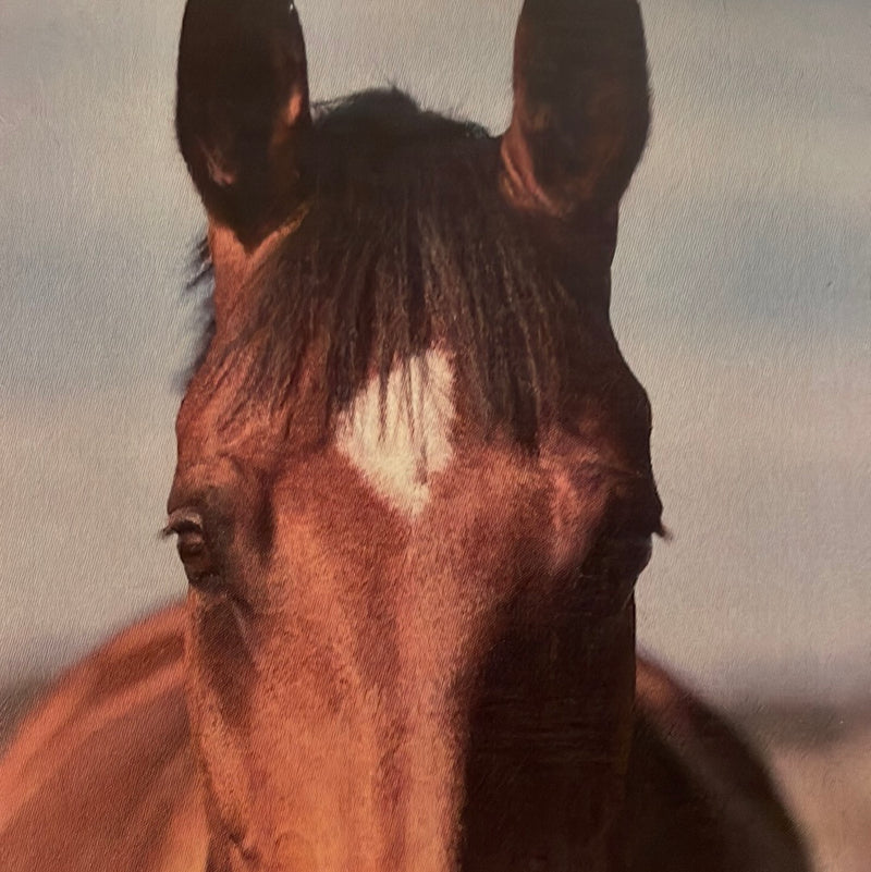 CLRL-36"-0224 Ranch-Life Wild Rags 100% Silk