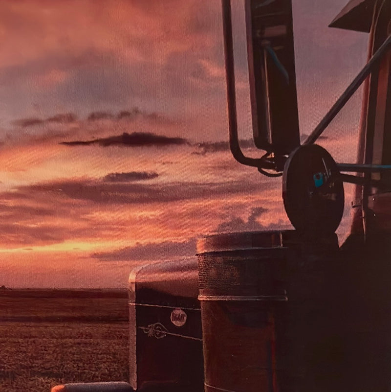 CLRL-36"-0725 Ranch-Life Wild Rags 100% Silk