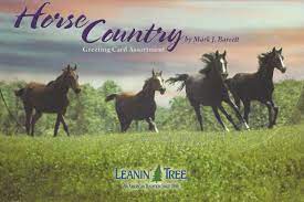 BGAST90740 Cards: 20 Blank Assortment - Horse Country