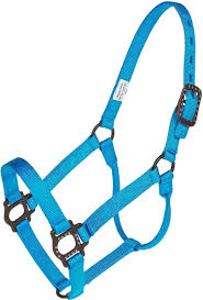 TK85272 Halter Horse-Nylon Antique Hardware