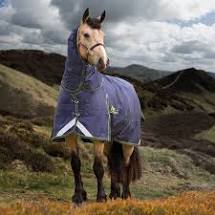 TKBLA783-78"-Navy Winter Storm Cheeta 300 Combo