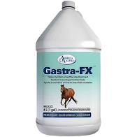 AC253001 Omega Alpha Gastra FX 4L