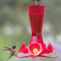 HG850013D Bird Feeder Hummingbird Popular Pinch Waist Glass