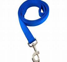 PS9670 Dog Leash - 1"x4' Hamiliton