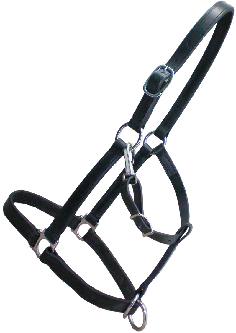 TK245BR-REG-Black Halter Regular Nose Horse