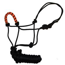 TK16-120--Orange Halter Rope w/Lead & 2 Tone Nose