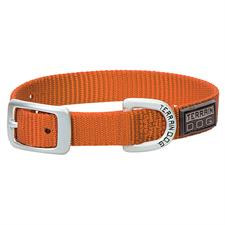 PS07-0941-3/4"x17"-Orange Dog Collar Terrain 2 Ply Nylon