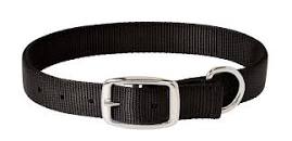 PS07-0110-19"-Black Dog Collar Prism Classic 1"