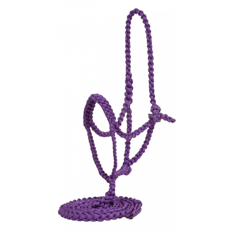 TK292827--Purple Halter w/ Noseband Nylon Braided