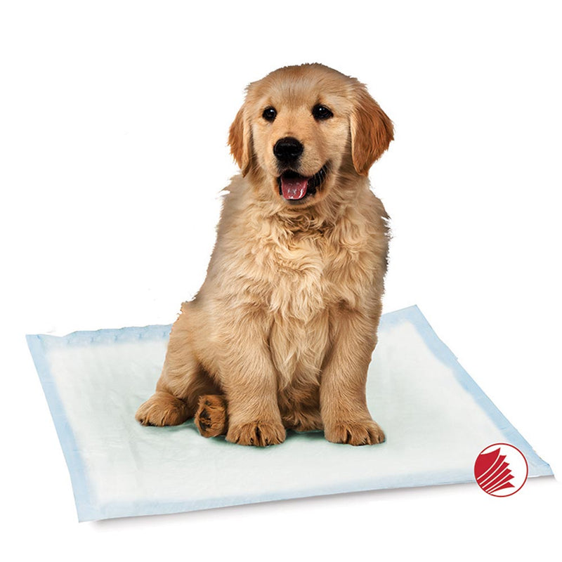 PSD962-42901 Training Pads Puppy 30's