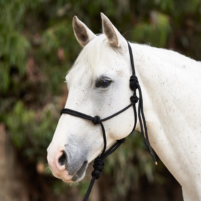 TK9713--Black Reinsman - Diamond Rope Halter & Shank