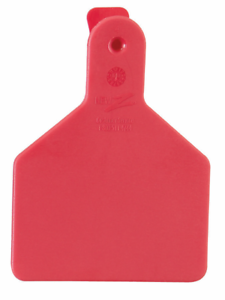 ACNZCALFSN-Short Nk-Red New Z Calf Tags 1 Piece 25's