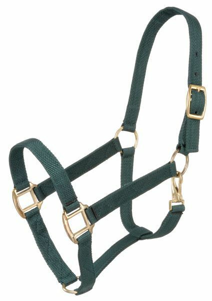 TK292908 Halter Economy Nylon "Pony"