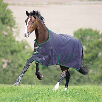 TKBLA787-81"-Navy Blanket Winter Turnout Highlander Plus 200g