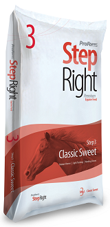 FSSTEP3 Step 3 Horse Classic Sweet