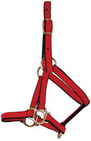 TKTBWHSHH--Red Halter Supreme Nylon Heavy Horse