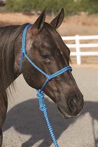 TKHHR--Turq Ranch Hand Halter w/Lead