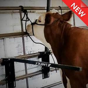 ACSUB Straight Up Bars Set of 2