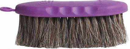 TKST210 Brush Horse Hair - Large