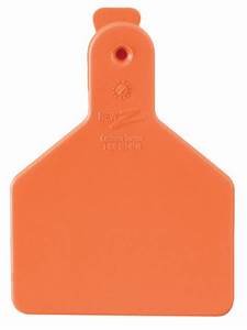 ACNZCALFSN-Short Nk-Orange New Z Calf Tags 1 Piece 25's