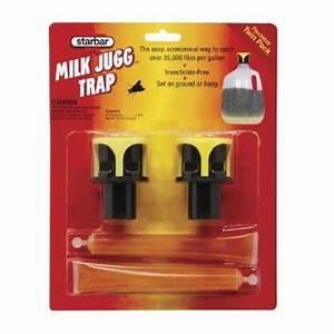 HG205621 Milk Jug Fly Trap Starbar 4pc