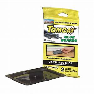 HG065-903 Mouse Trap Glue Board-Tomcat 4/pkg