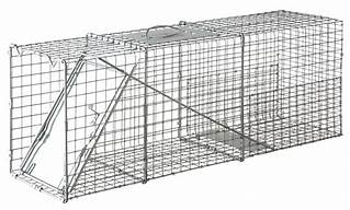 HG115-807 Live Trap (LT4)10x12x32" Miller