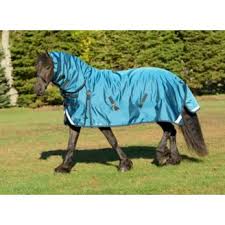 TKBLA801-81-Turq. Winter - Storm Cheeta T/O 400 grm