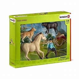 BG42419 Farm World - Western Riding
