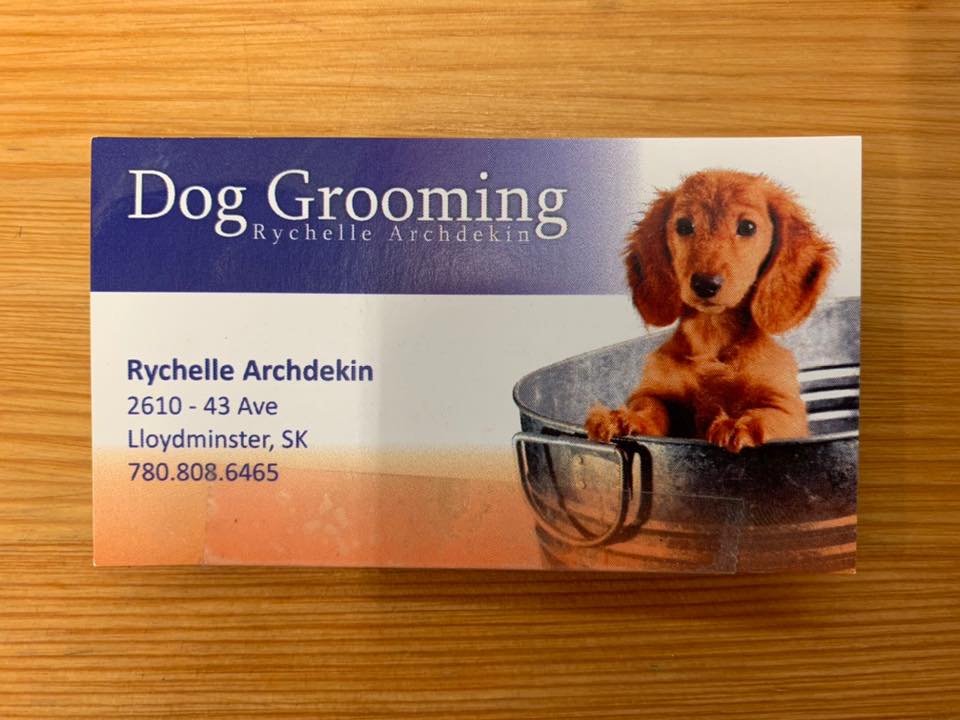 Dog Grooming AVAILABLE!!