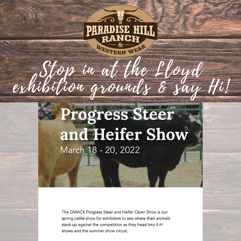 GMACK Progress Steer & Heifer Show!