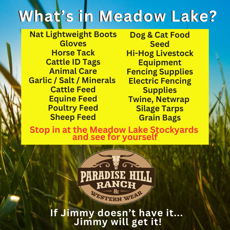 What's in Meadow Lake?!