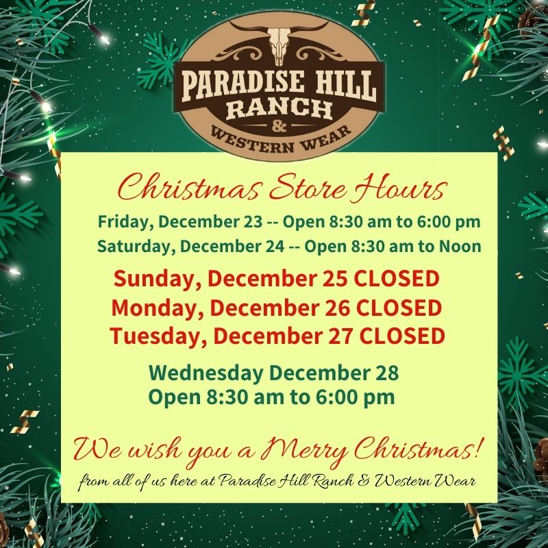 Christmas Store Hours